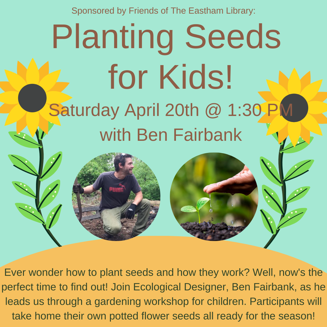 Seed Planting for Kids