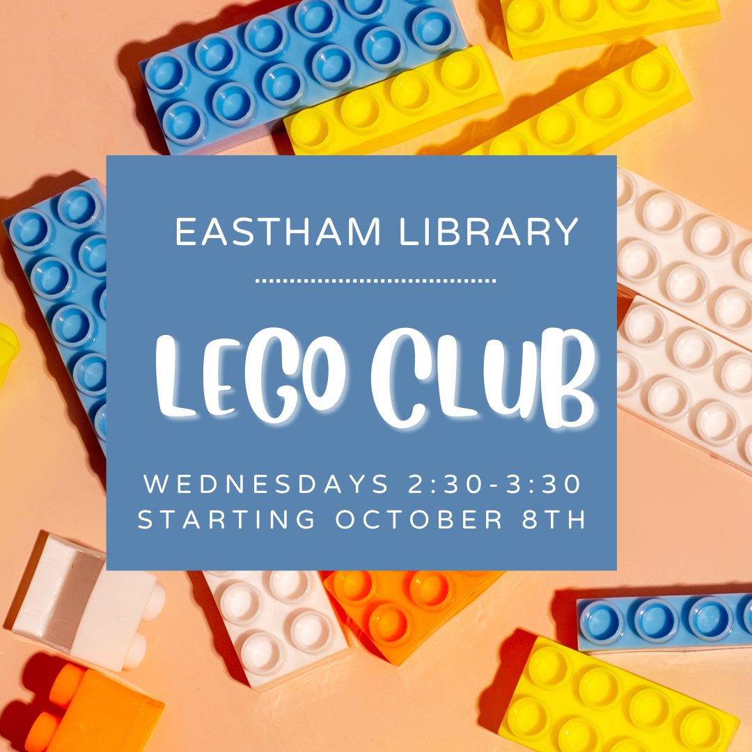 Lego Club