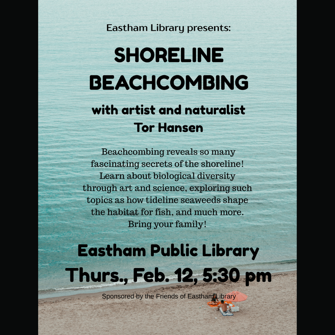 Shoreline Beachcombing