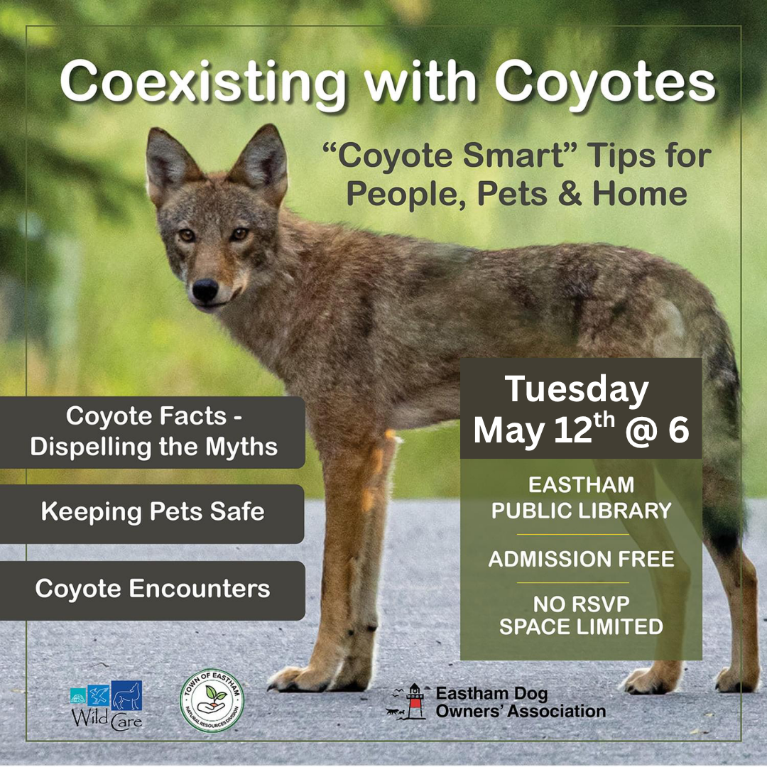 Coyote Talk